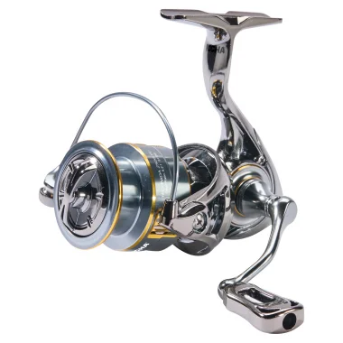 Kogha Technida 1000 FD Top-Angebot