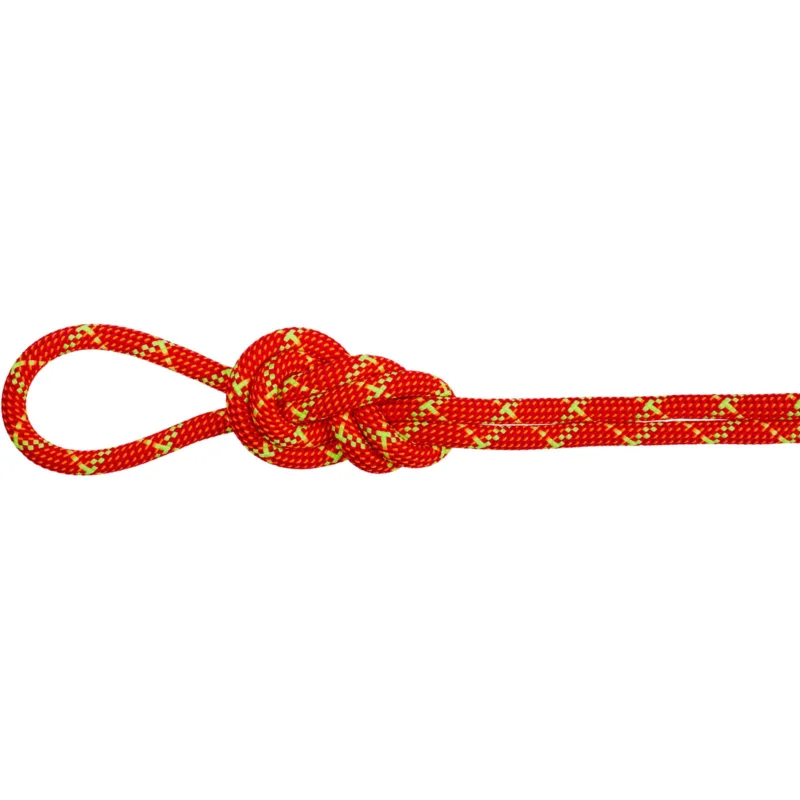 Mammut 8.0 Alpine Core Protect Dry Rope - Doppelseil Ausverkauf