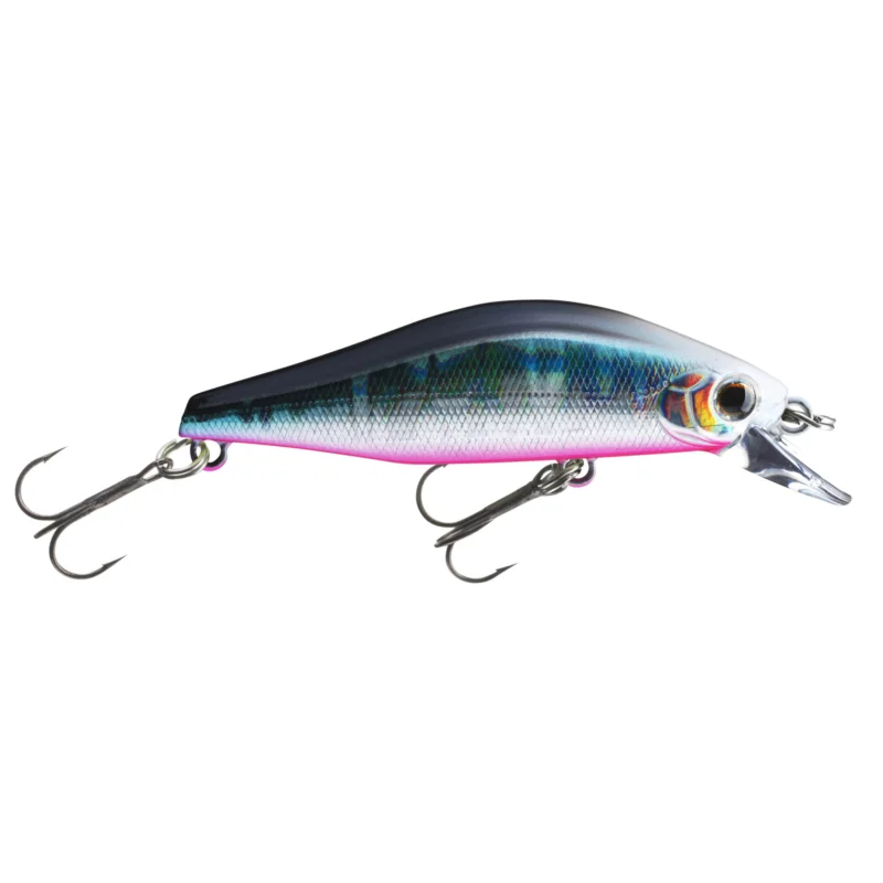 Letzte Chance Daiwa TN Wise Minnow 50FS Aurora Sunset Laser Twitchbait Wobbler