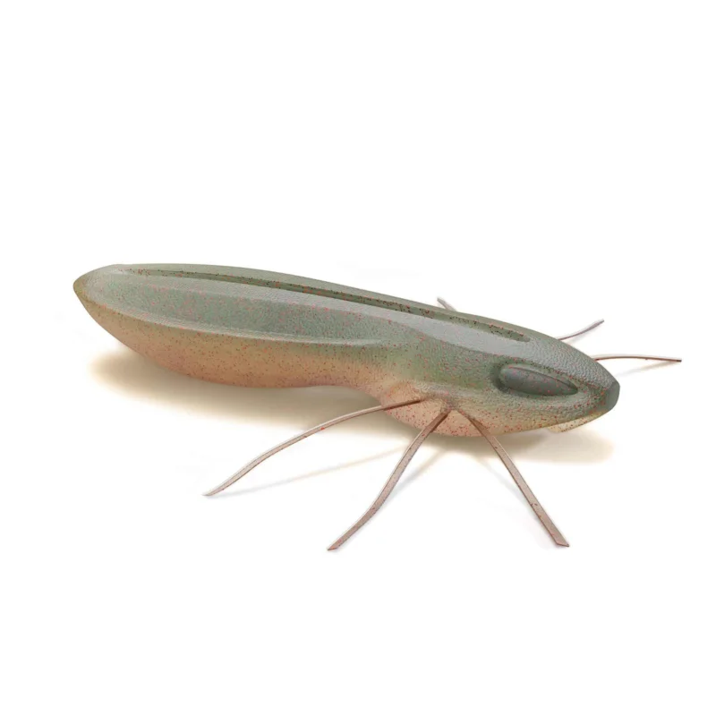 Expressversand Nays BG 2.0 C-28 Finesse Creature Bait