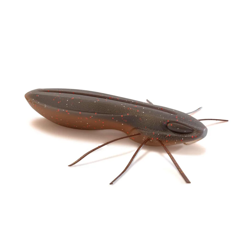Günstig Nays BG 2.5 C-27 Finesse Creature Bait