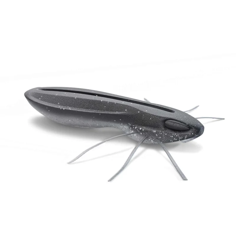 Nays BG 2.5 C-31 Finesse Creature Bait Must-Have