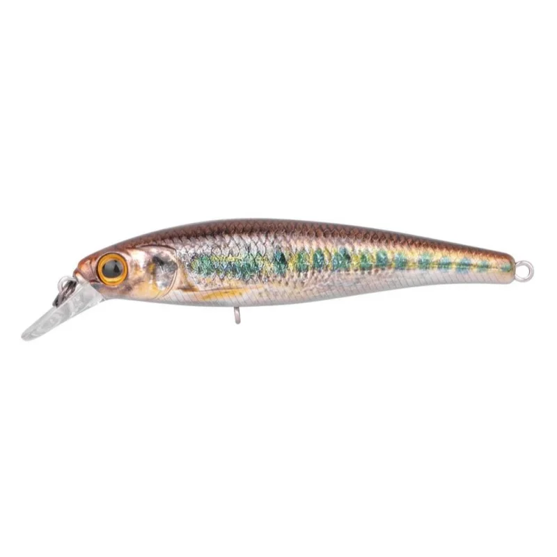 Saisonangebot Spro Ikiru Silent Jerk SLS 65 Gudgeon