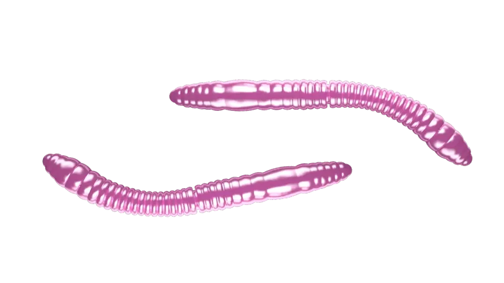 Abverkauf Libra Lures Fatty D'Worm Tournament 55 Cheese 5,5cm 018 - pink pearl