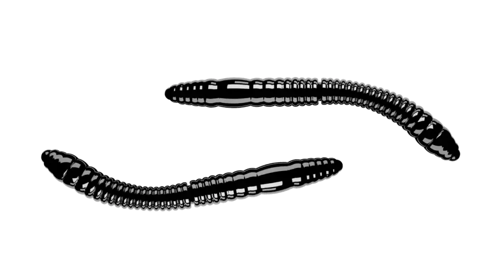 Sonderaktion Libra Lures Fatty D'Worm Tournament 55 Cheese 5,5cm 040 - black