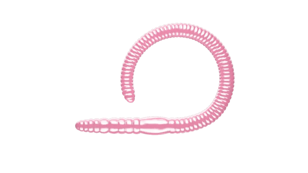 Libra Lures Flex Worm 95 Cheese 9,5cm 018 - pink pearl Neuheit
