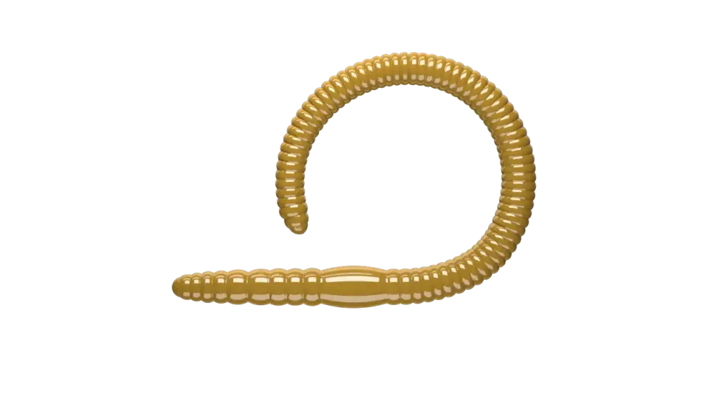 Libra Lures Flex Worm 95 Cheese 9,5cm 036 - coffee milk Garantierte Lieferung