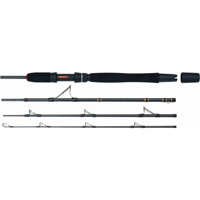 WFT Go North II 4pcs. 20lbs 2,10m 100-400g Reiserute Bootsrute Preisknaller