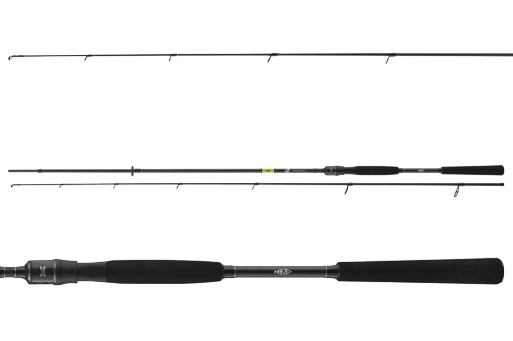 Daiwa Prorex X Spin 2,40m 15-50g Spinnrute Spin Rute 2-teilig Direkt Vom Hersteller